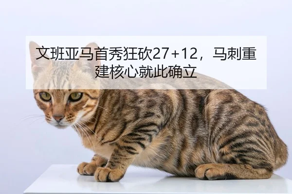 文班亚马首秀狂砍27+12，马刺重建核心就此确立